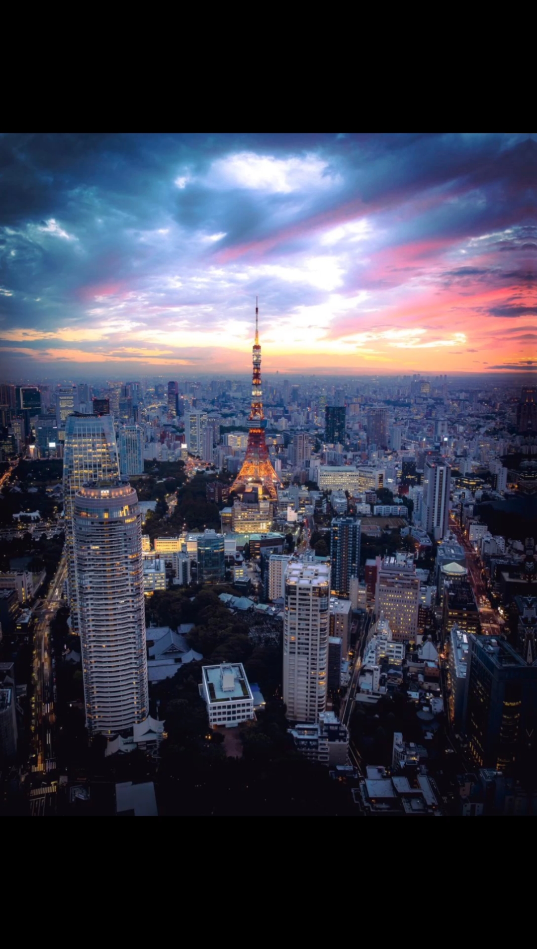 东京摩天楼夜景.#日本 #夜景