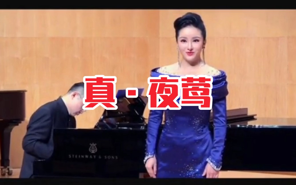 中国音乐学院博士,金钟奖金奖获得者毛一涵演唱《夜莺》哔哩哔哩bilibili