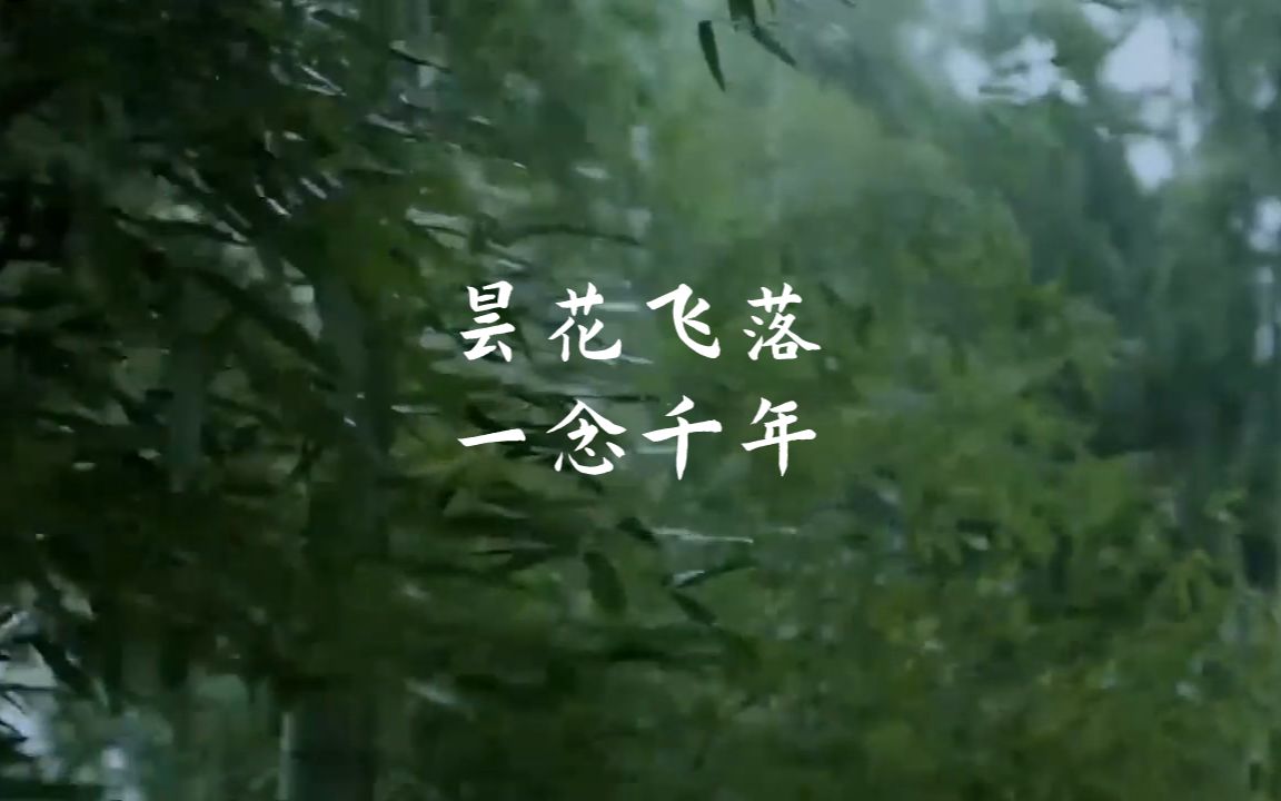 昙花飞落,一念千年 | 《诗经ⷥ›子于役》赏析哔哩哔哩bilibili