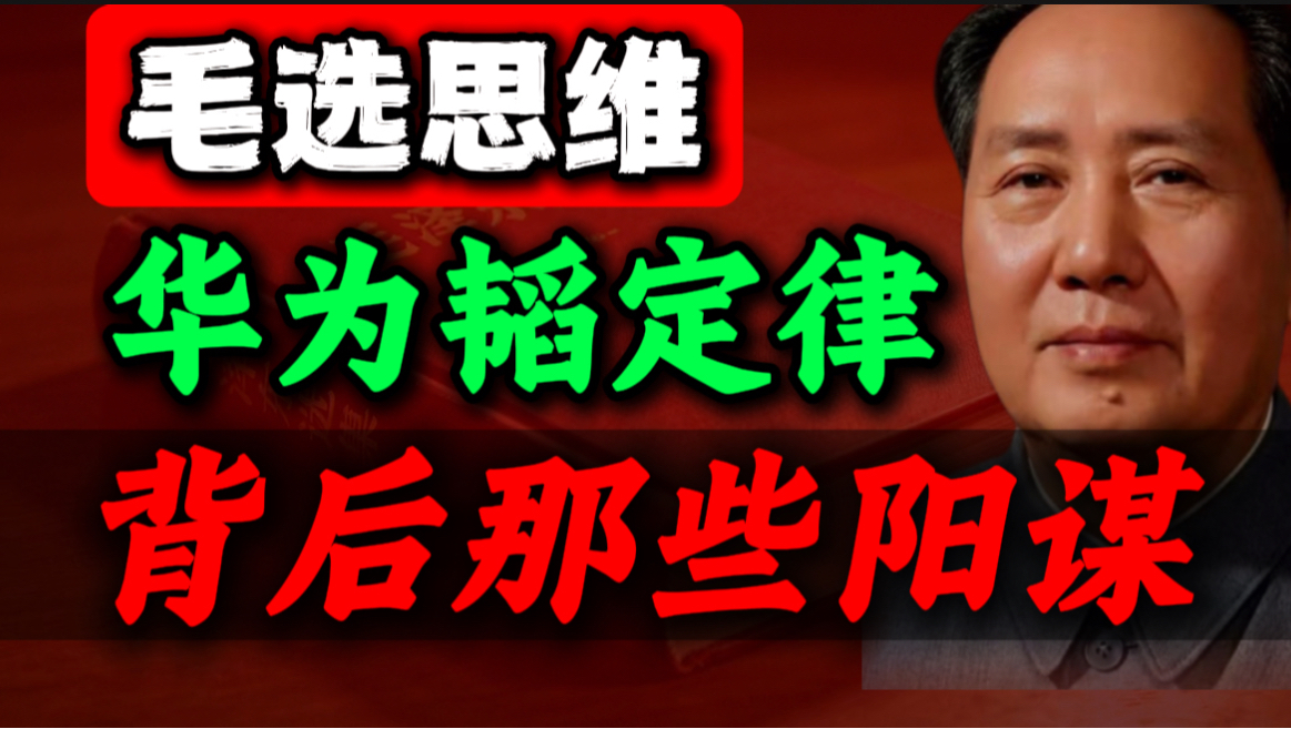 读《毛选》才醒悟，被封7年，华为到底在下什么棋｜第23期｜毛选思维，毛选解读