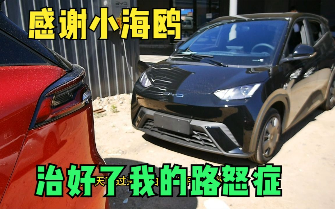 给海鸥第一次充电,无耻汽车自媒体,到处蹭电哔哩哔哩bilibili