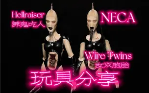 Download Video: NECA 养鬼吃人 女双胞胎 玩具分享