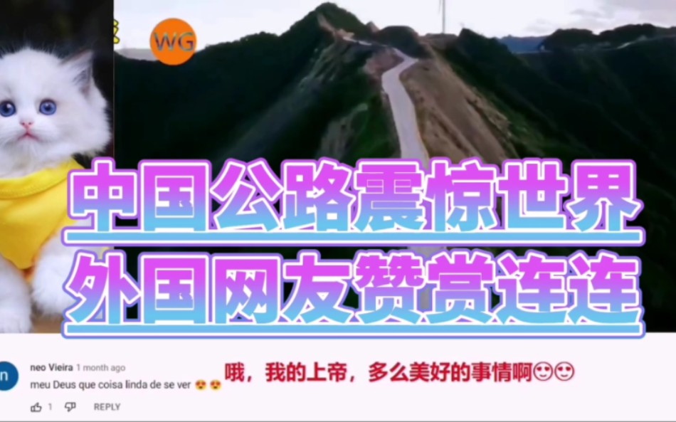 外国网友震惊了!中国公路也太可怕了吧!!!哔哩哔哩bilibili