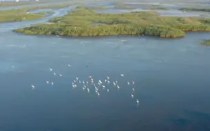 Скачать видео: 崇明东滩：“智斗”互花米草 保护湿地生态