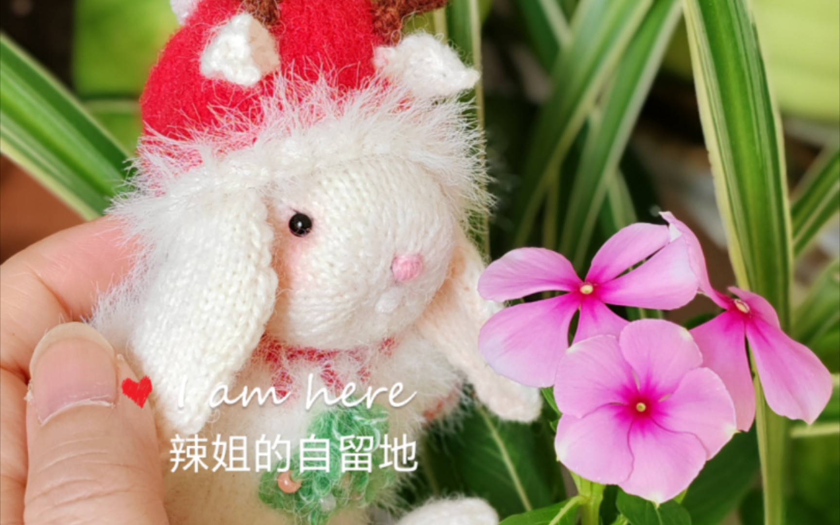 棒针玩偶:完整的圣诞兔