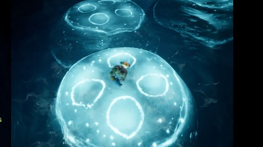 双人成行漂亮的水母(好好看)