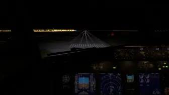 Скачать видео: 【XP12】国航738深夜软降深圳宝安