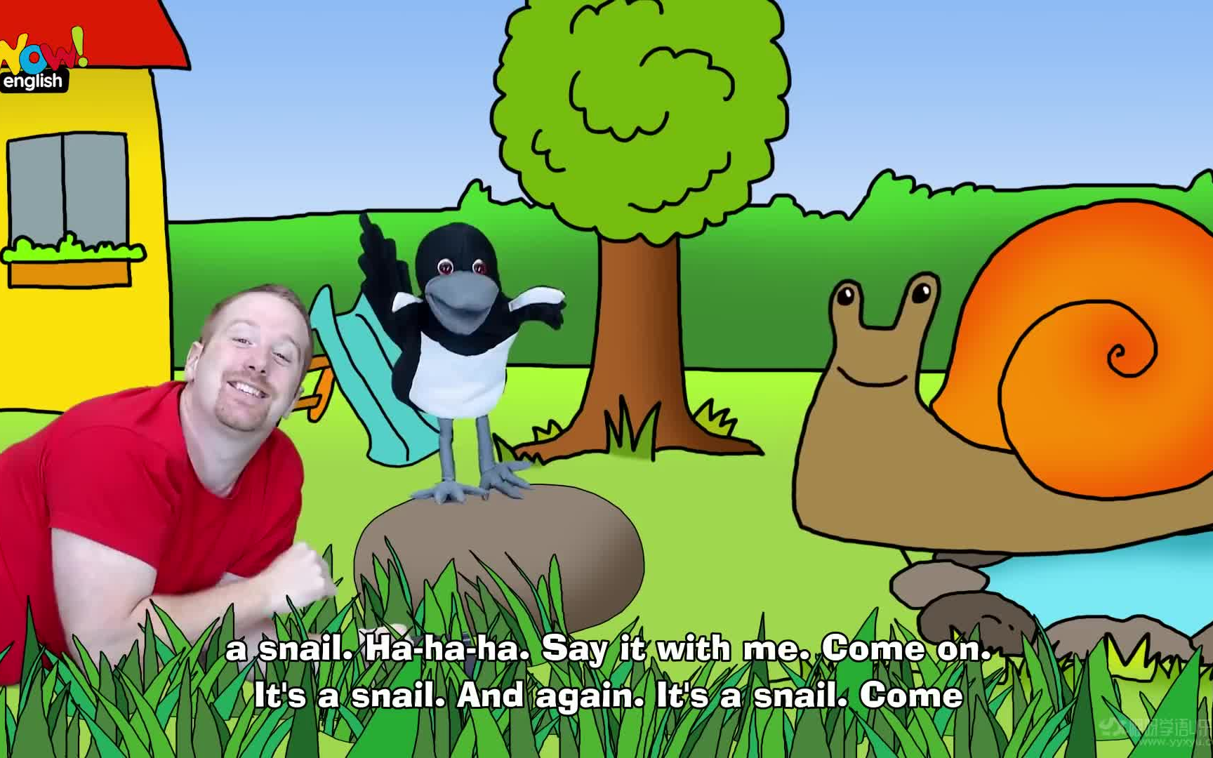 wow english-animal story from steve and maggie-magic speaking