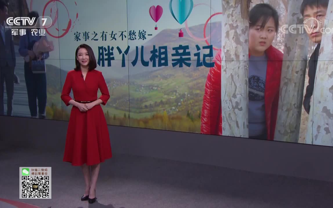 [图]乡村法制剧场（原《法制编辑部》）《乡村法制剧场》20190405家事之有女不愁嫁——胖丫儿相亲记