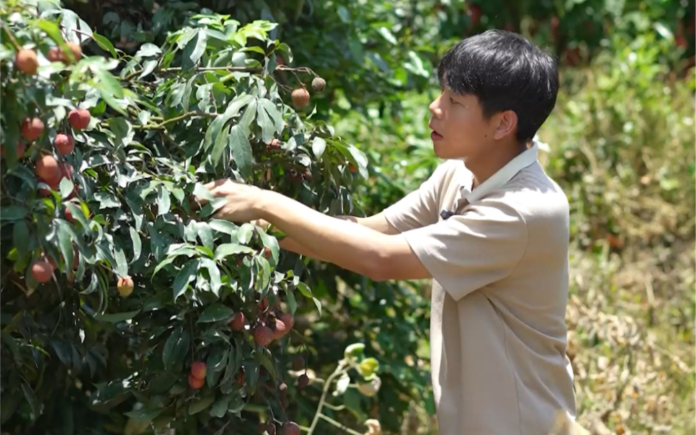 [图]夏日唯有荔枝不可辜负！赶紧来一份荔枝甜品吧！