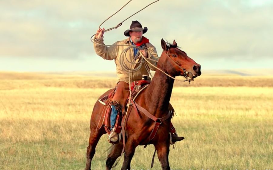 有血有肉的西部牛仔,是怎么生活的?