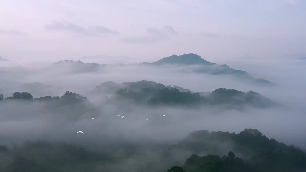 [图]茶船古道茶飘香