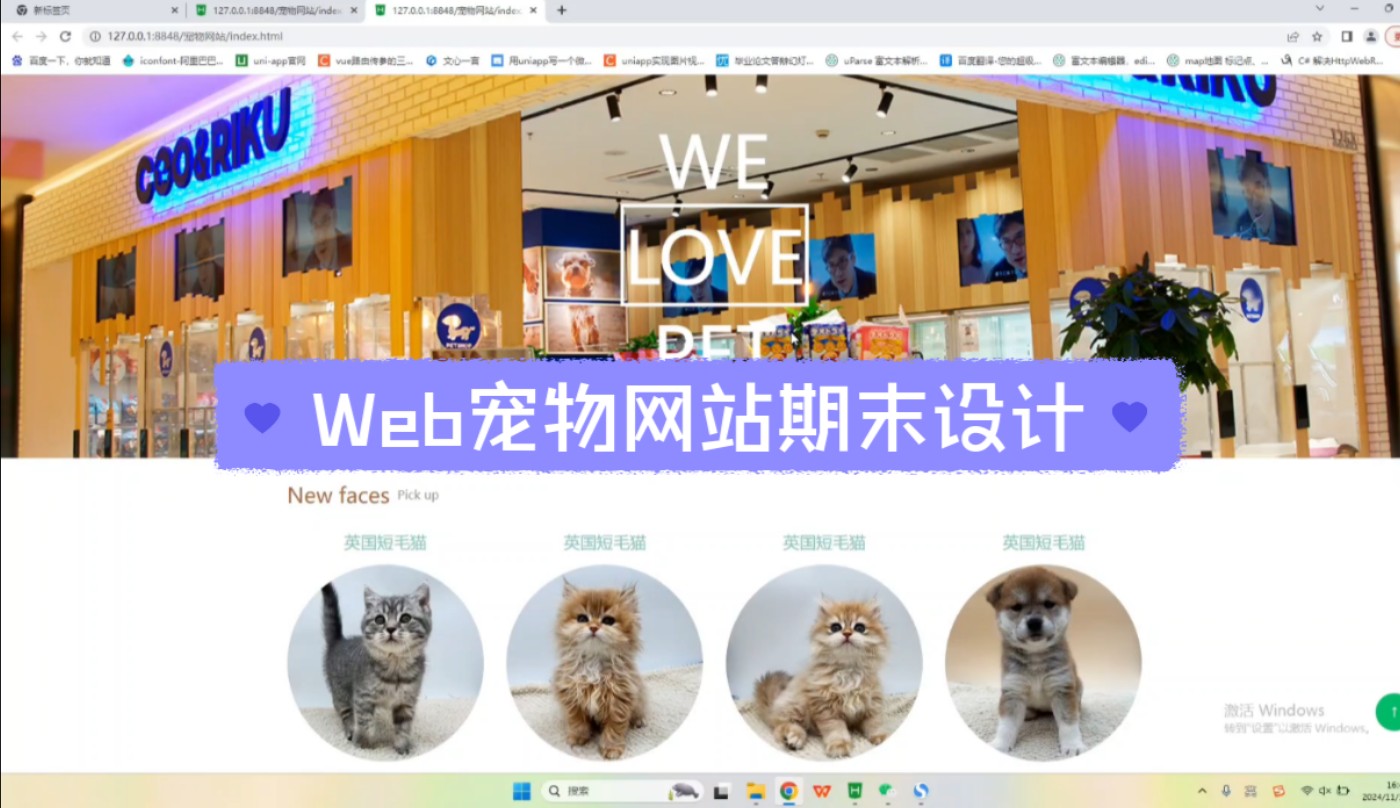 Web宠物网站期末作业(送源码)哔哩哔哩bilibili