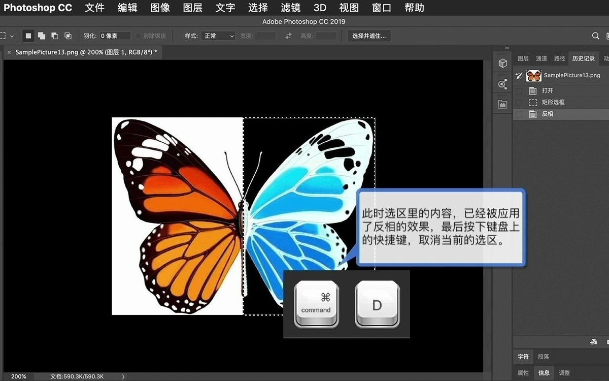 38使用反相功能反转图像色彩[神奇的Photoshop自动化]哔哩哔哩bilibili