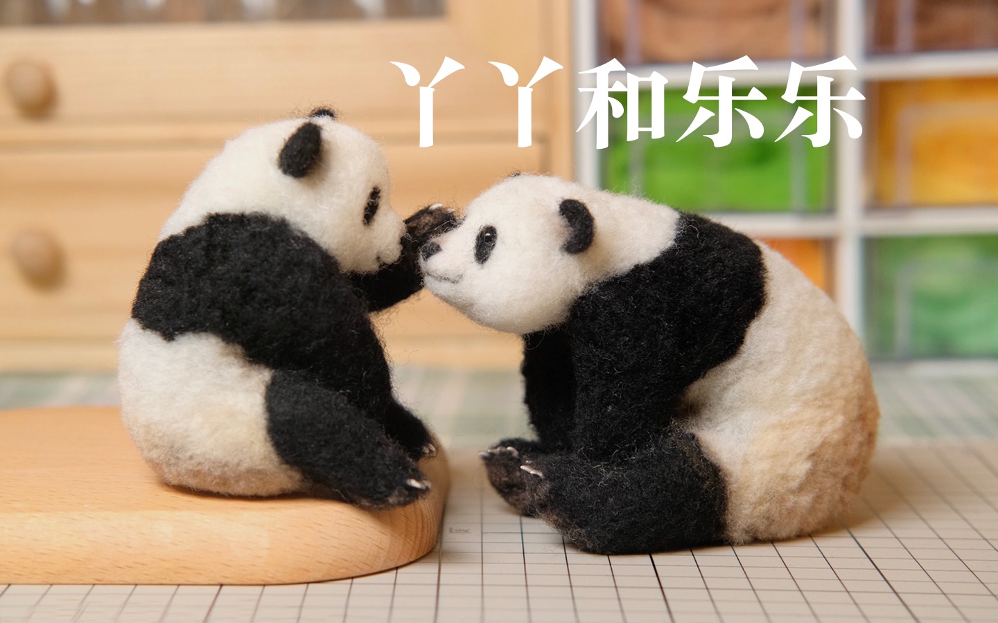【羊毛毡】丫丫和乐乐永远不会再分开了/大熊猫/乐乐和丫丫