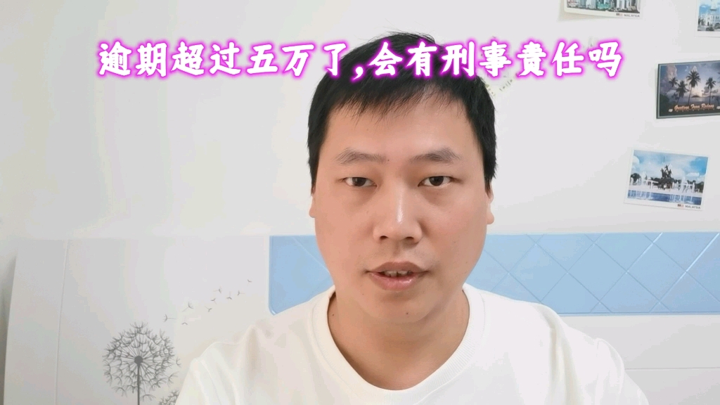 支付宝网贷信用卡逾期后,会有刑事责任吗?哔哩哔哩bilibili