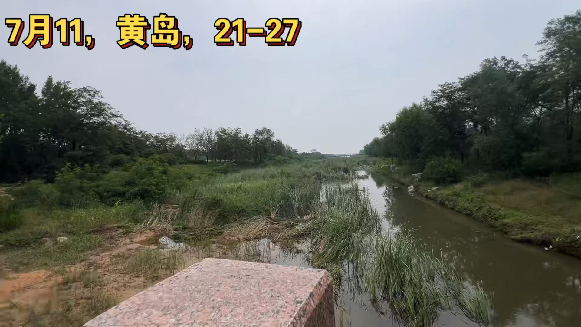 旅居青岛西海岸世博城一个月,聊聊住小公寓的感受吧,有点一言难尽哔哩哔哩bilibili