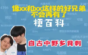 Download Video: 像xx和xx这样的好兄弟不会再有了是什么梗？【梗百科】