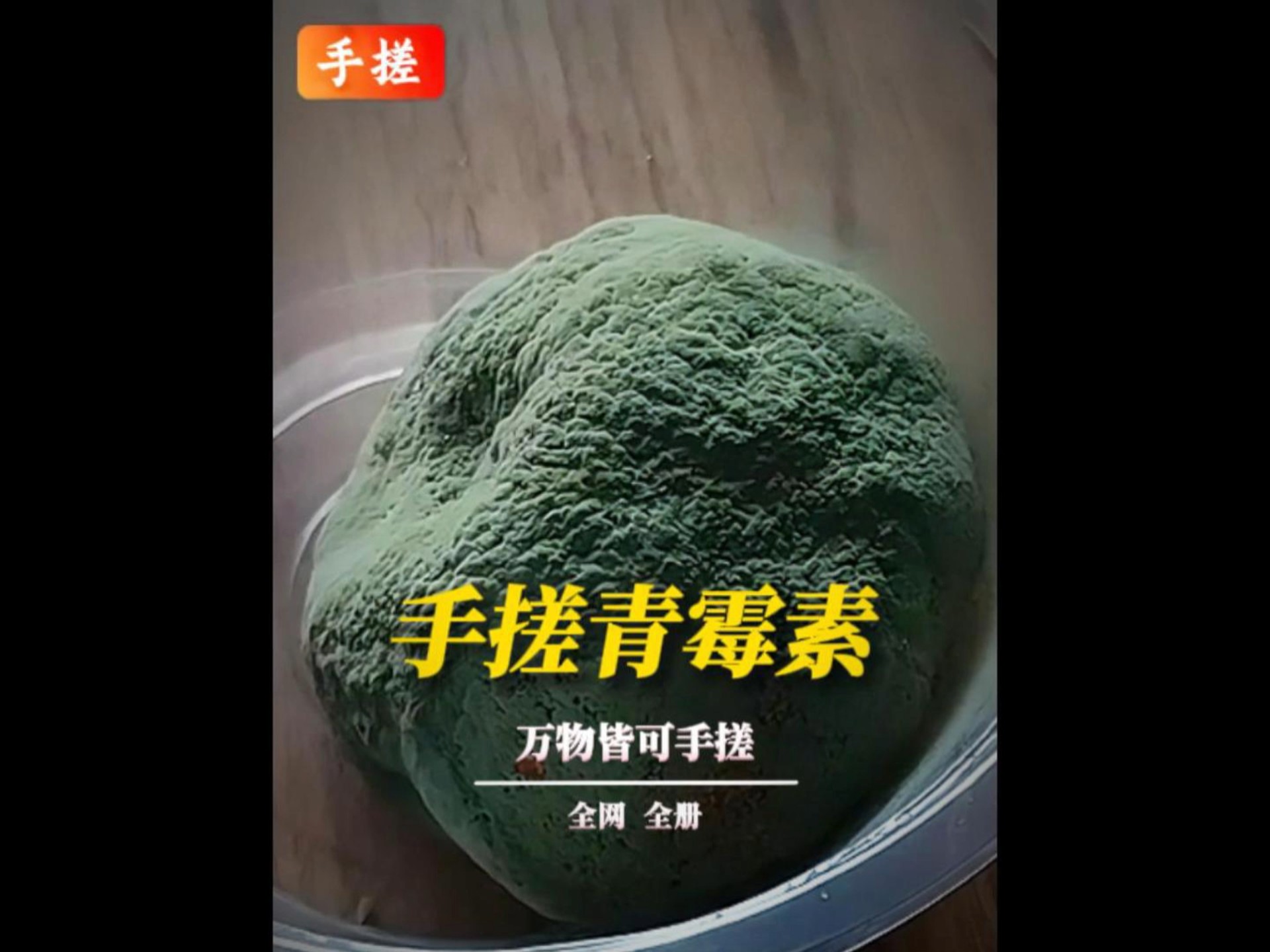 穿越必备技能，手搓青霉素，有手就行