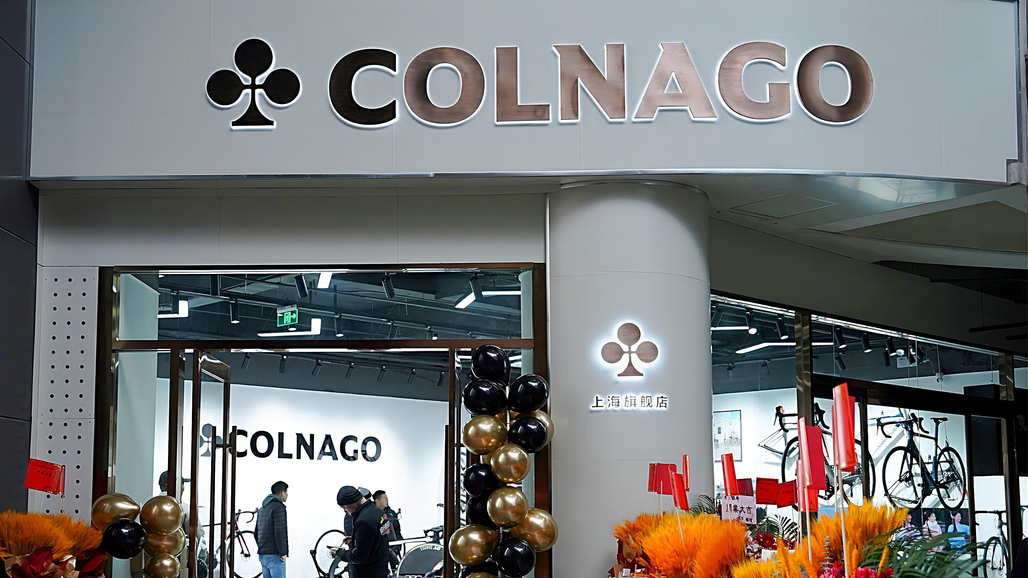 colnagologo图片