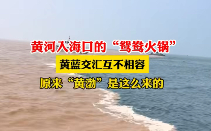 [图]7月23日 #山东东营 黄河入海口的“鸳鸯火锅”，黄蓝交汇互不相容，原来 #黄渤 是这么来的。 #意不意外