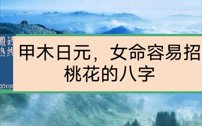 八字命理,八字算命哔哩哔哩bilibili