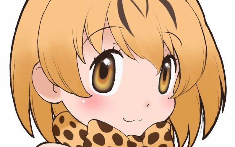 硬币 收藏 加帕里智慧担当,真爱薮猫酱,friends什么的小鞄最喜欢了!