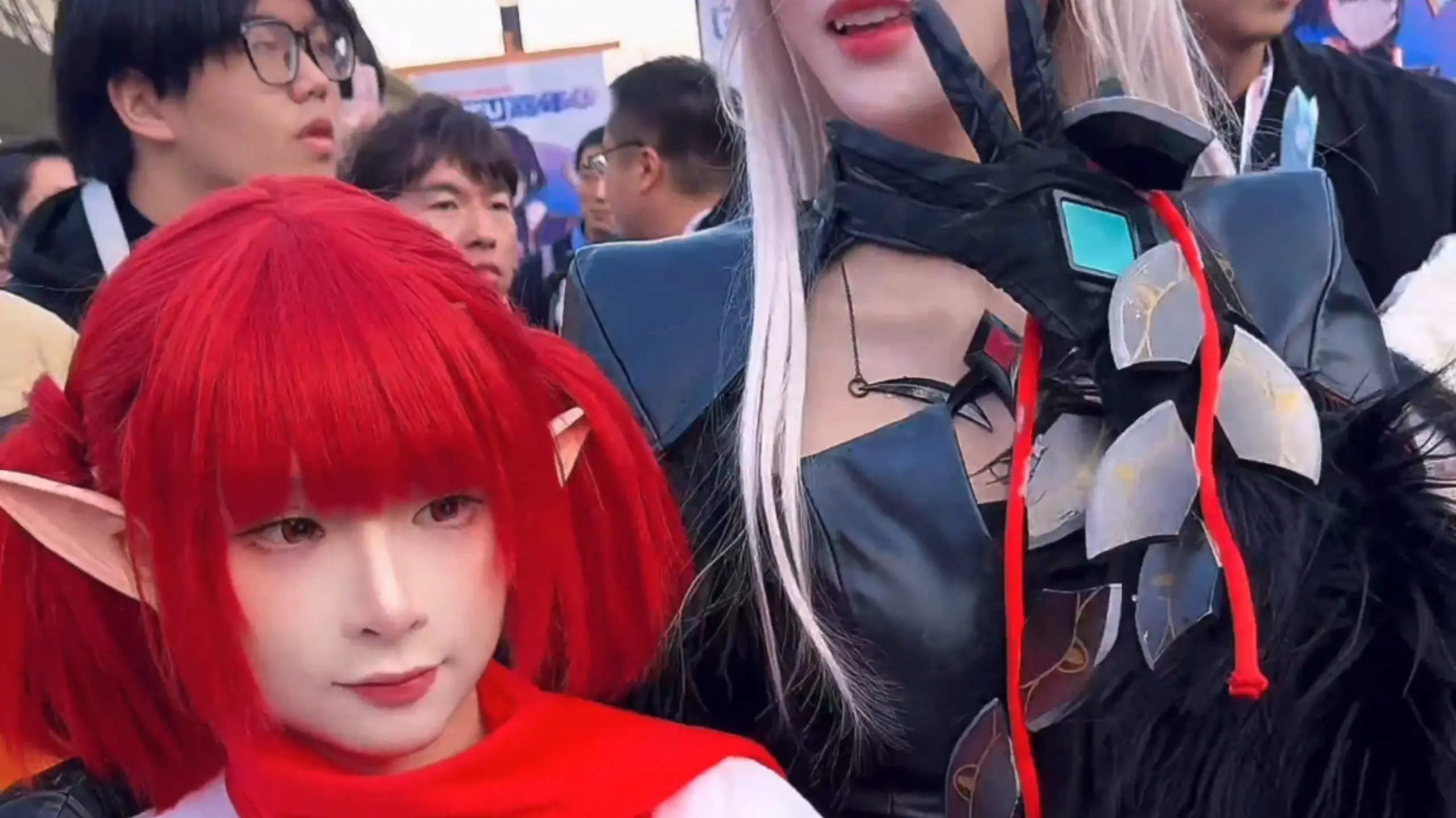 兔娘的眼神坚定的像入党_哔哩哔哩_bilibili