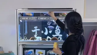 #鱼友投稿 青岛鱼友的90x45x45三湖组缸 Cr:于小鱼