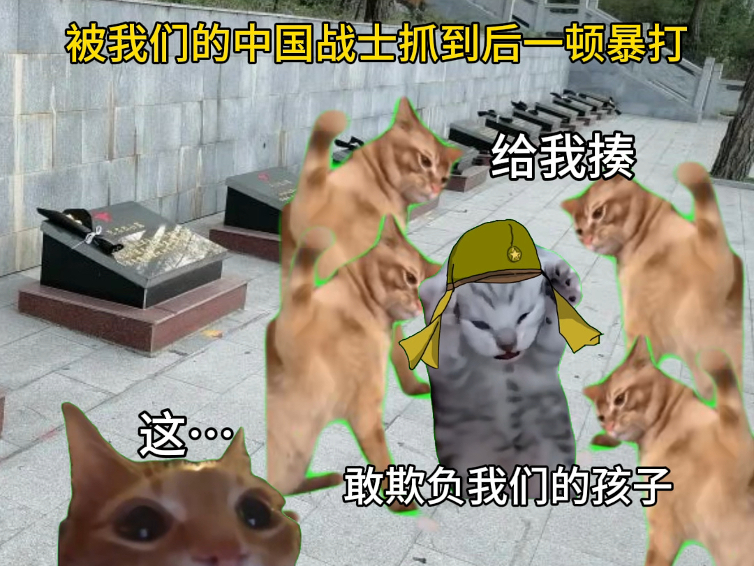 [图]你可以永远相信中国军人🇨🇳#猫meme #中国军人带来的安全感 #烈士永垂不朽 #猫meme小剧场 #烈士陵园的故事