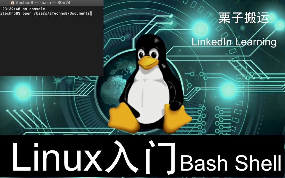 Linux命令行基础(Learning Linux Command Line)英语原版哔哩哔哩bilibili