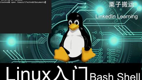 Linux命令行基础 Learning Linux Command Line 英语原版 哔哩哔哩