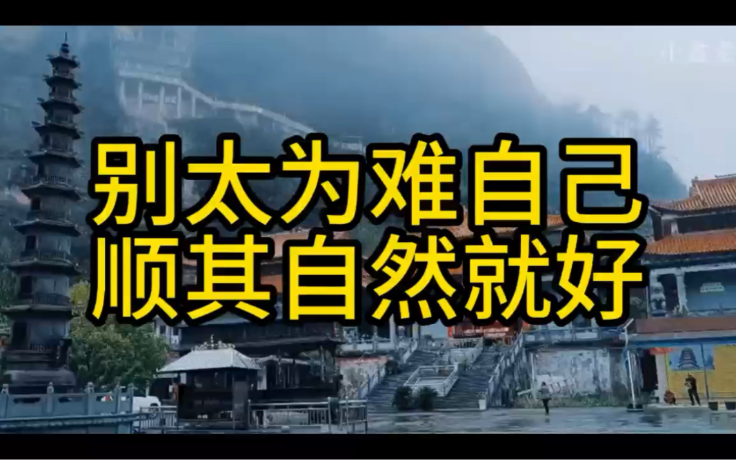 命里有时终须有 命里无时莫强求