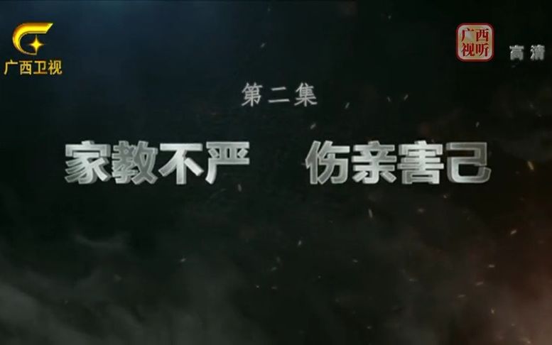 领导干部家风家教警示教育片《家教不严 伤亲害己》哔哩哔哩bilibili