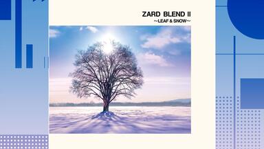 ZARD「What Rare Tracks! - Zard Edit-」全曲集_哔哩哔哩_bilibili