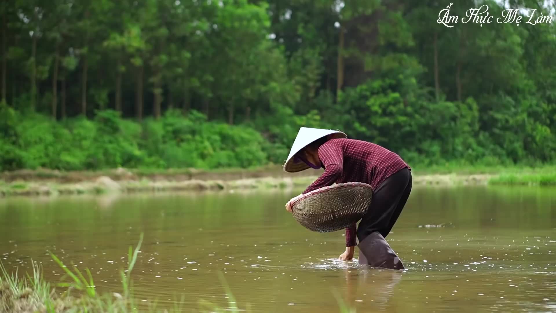 [图]Mì ốc chua cay đậm đà cho một buổi sáng trời se lạnh ( Snail Noodle )