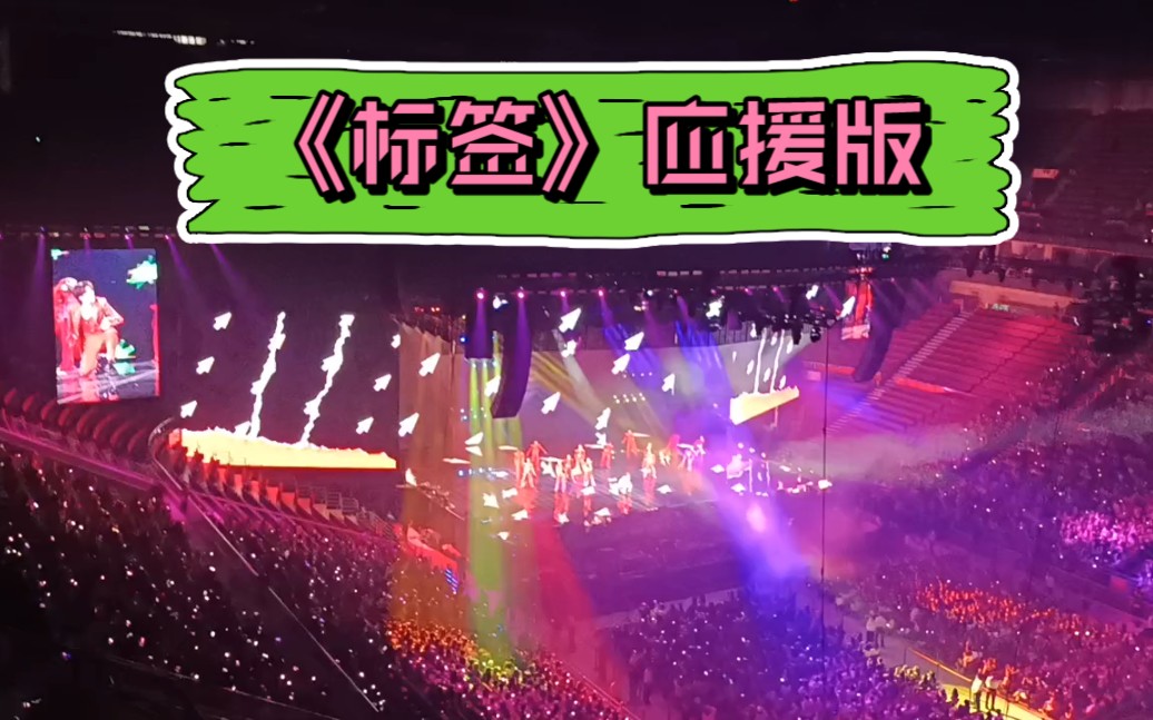 【蔡徐坤】演唱会北京场《标签》应援版,ikun想唱就唱,啥歌都可以应援,现场灯光舞美绝了哔哩哔哩bilibili