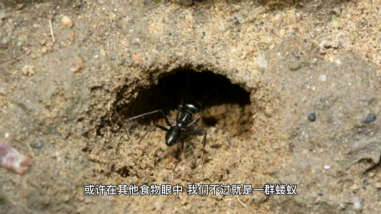 [图]安静的文字最有力量