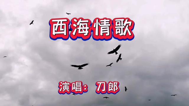 刀郎告別舞臺,深情演唱《西海情歌》滄桑沙啞嗓音,讓人感動落淚.