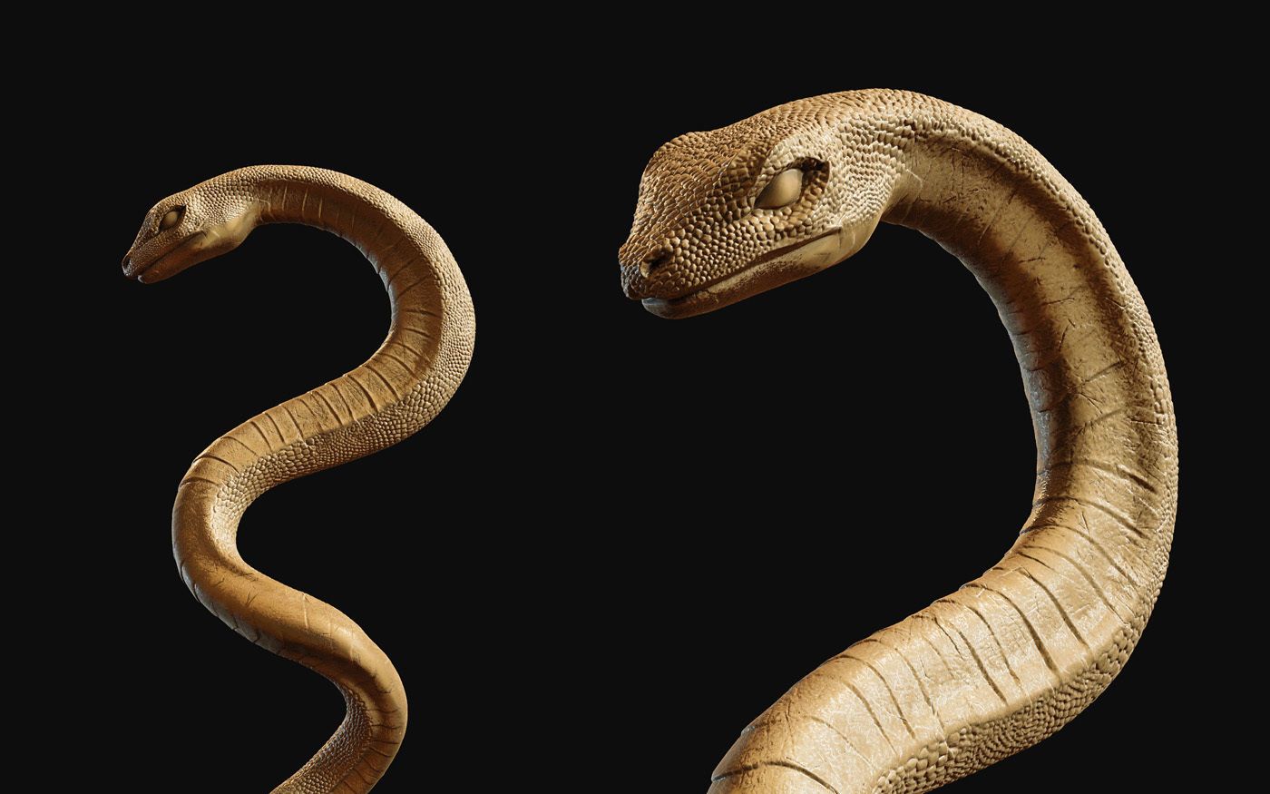 zbrush蛇动物雕刻参考资料,zbrush雕刻资料