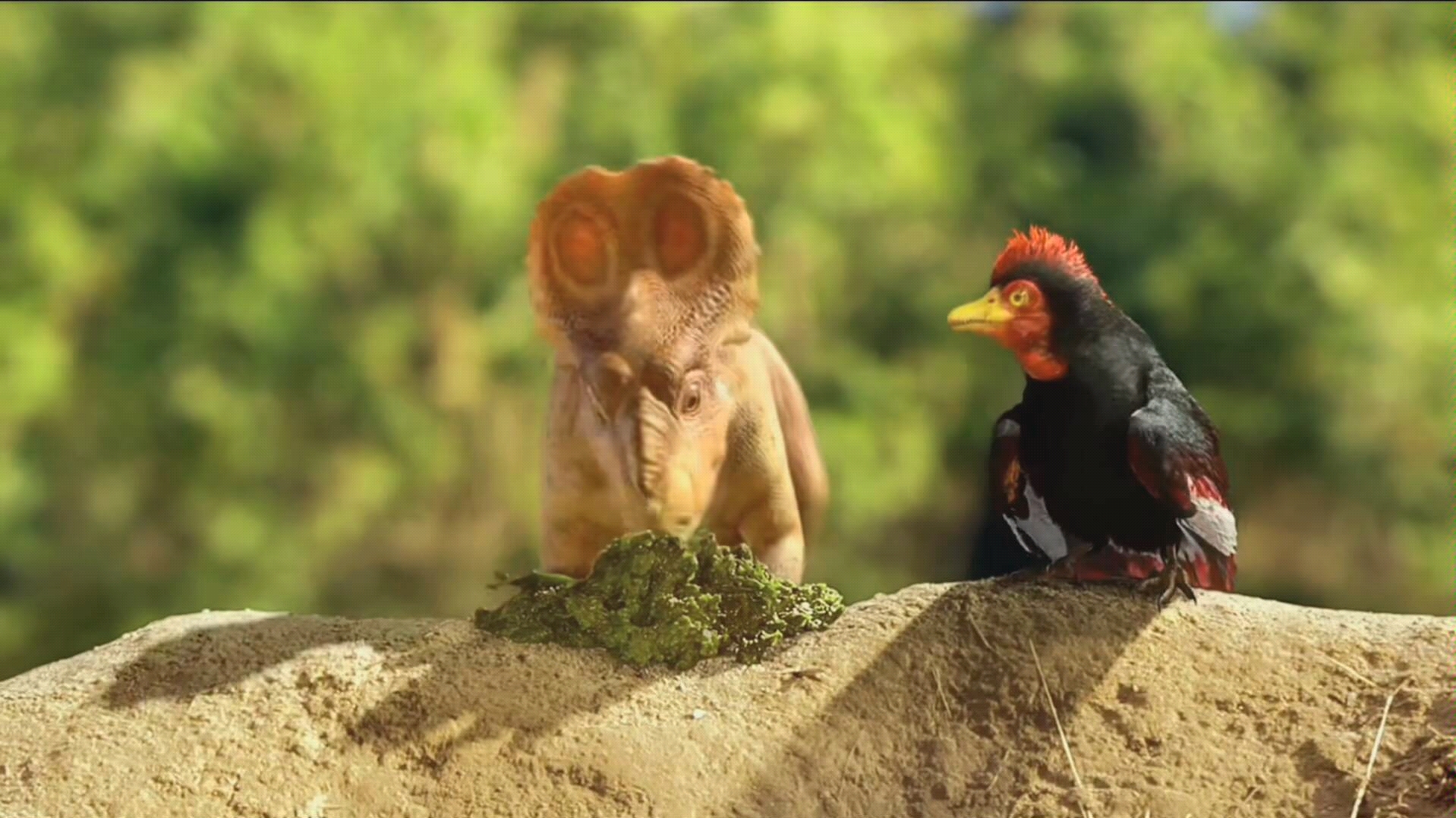 与恐龙同行伤齿龙捕猎厚鼻龙