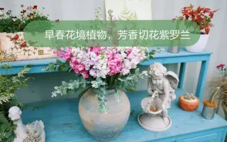 早春花 搜索结果 哔哩哔哩 Bilibili