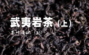 Descargar video: 【茶叶通识20】武夷岩茶（上）大红袍水仙肉桂的品种都是从何而来，岩茶的火工如何理解？