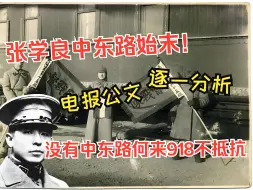 Download Video: 一小时详解“中东路事件”前后电报、公函；张学良中东路事件直接影响918，少帅富二代通病暴露无遗！