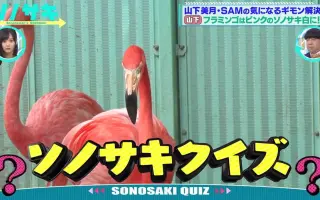 想要了解的事物大追踪 搜索结果 哔哩哔哩 Bilibili