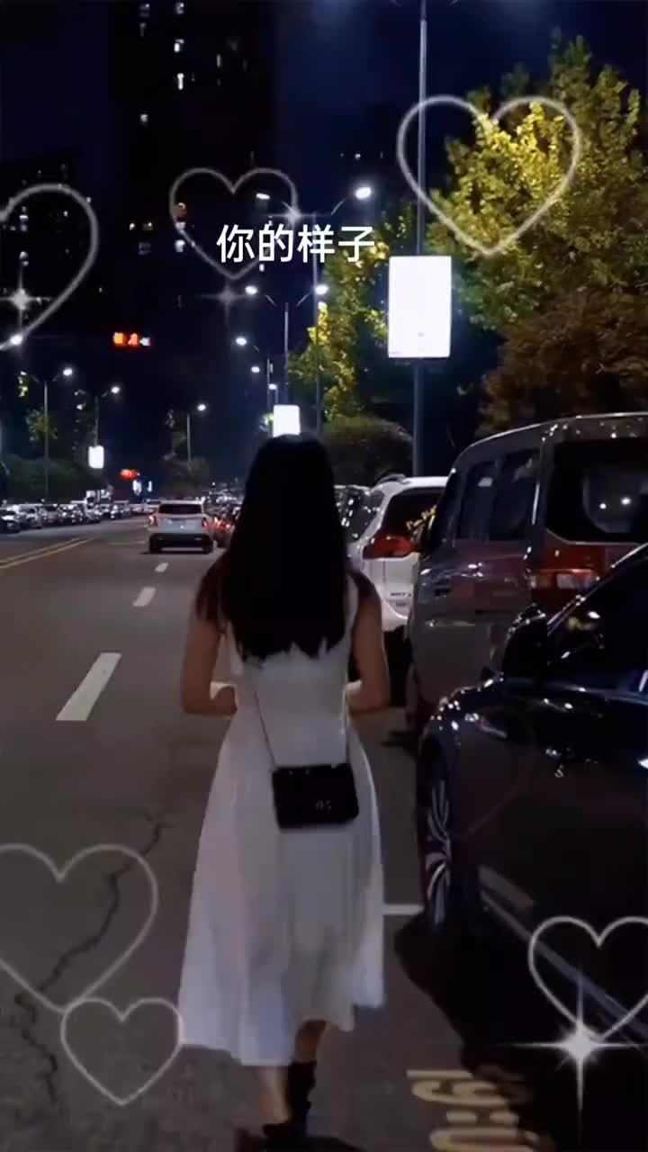 [图]你的样子爱音乐爱生活你的样子孤独的城市寂寞的夜