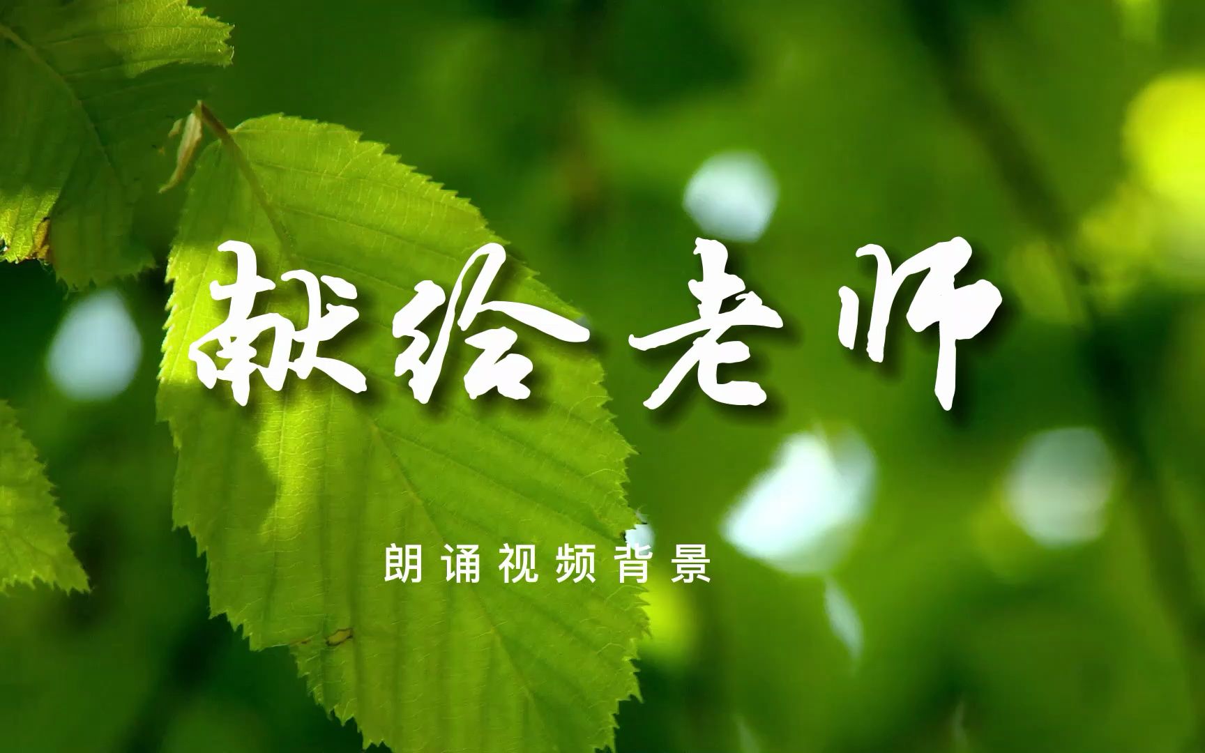 献给老师 朗诵背景