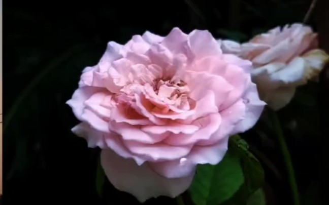 b站吞画质.照片技术有好有坏