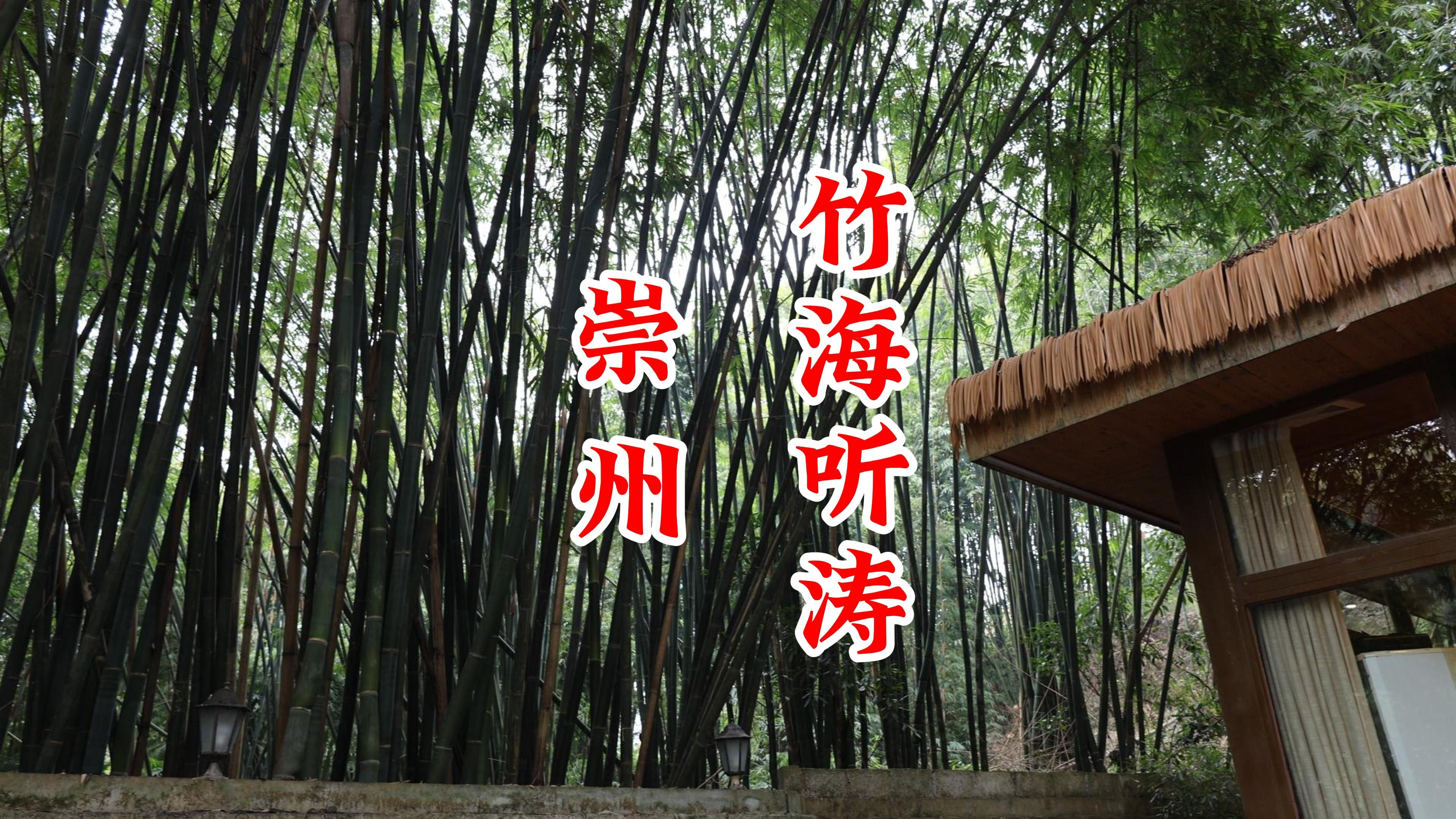 四川崇州,竹林深处品美食,团年团建两相宜,你来过吗?哔哩哔哩bilibili