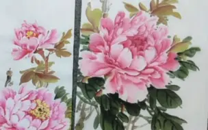 Tải video: 零基础  国画牡丹画法示范